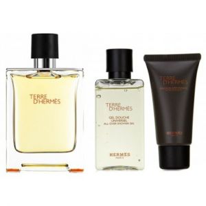 SET Hermes Terre D\'Hermes (M) edt 100ml + sg 40ml + asb 15ml